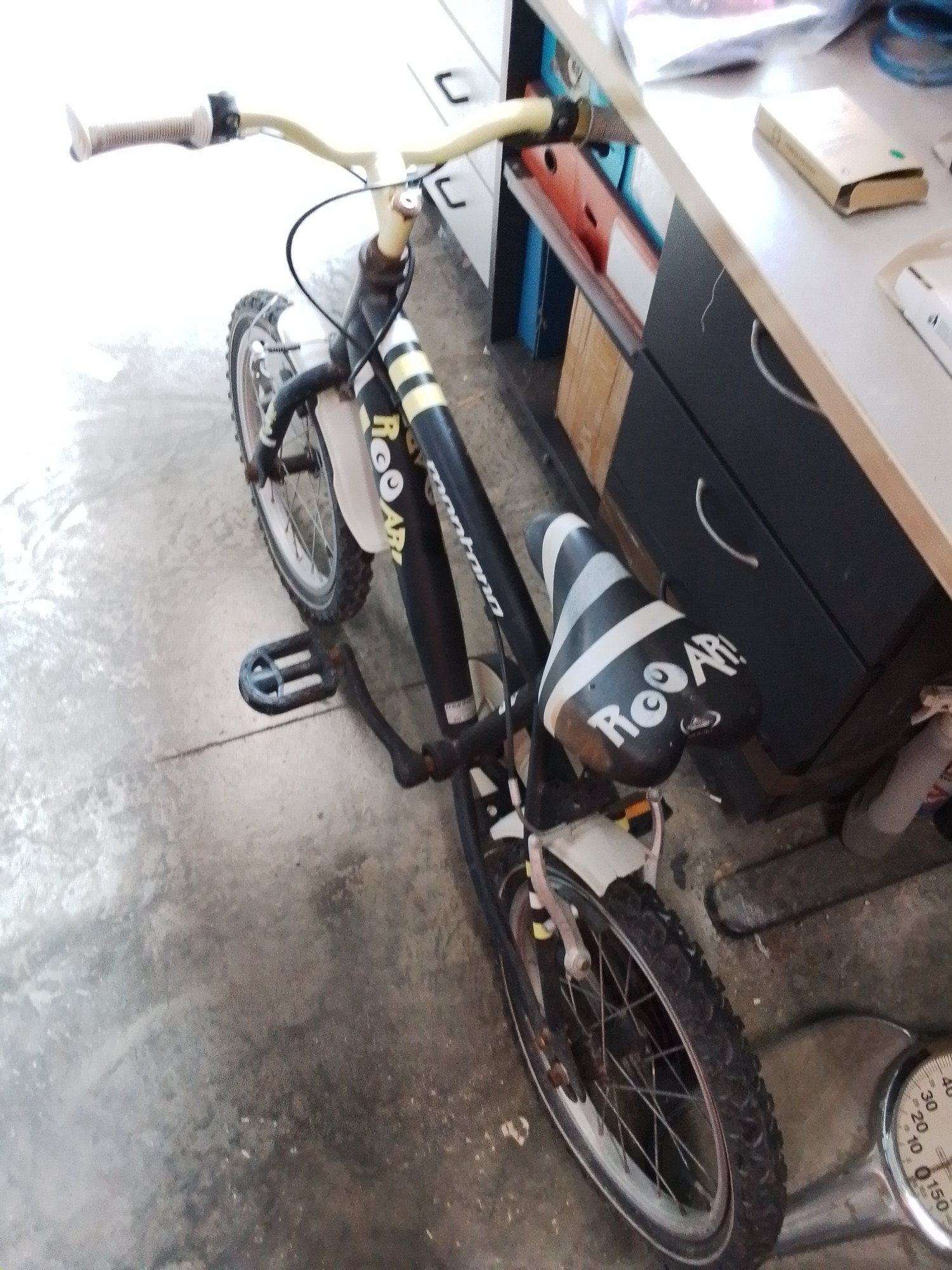 Bicicletta