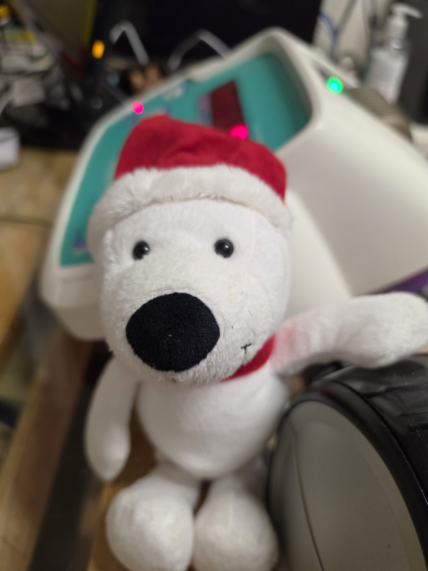 Peluche orsetto